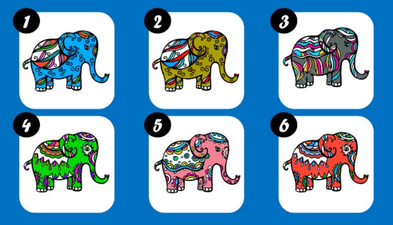 Válaszd ki, melyik elefánt hozzon neked szerencsét!